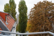 Fotos - Nachodstrasse 19